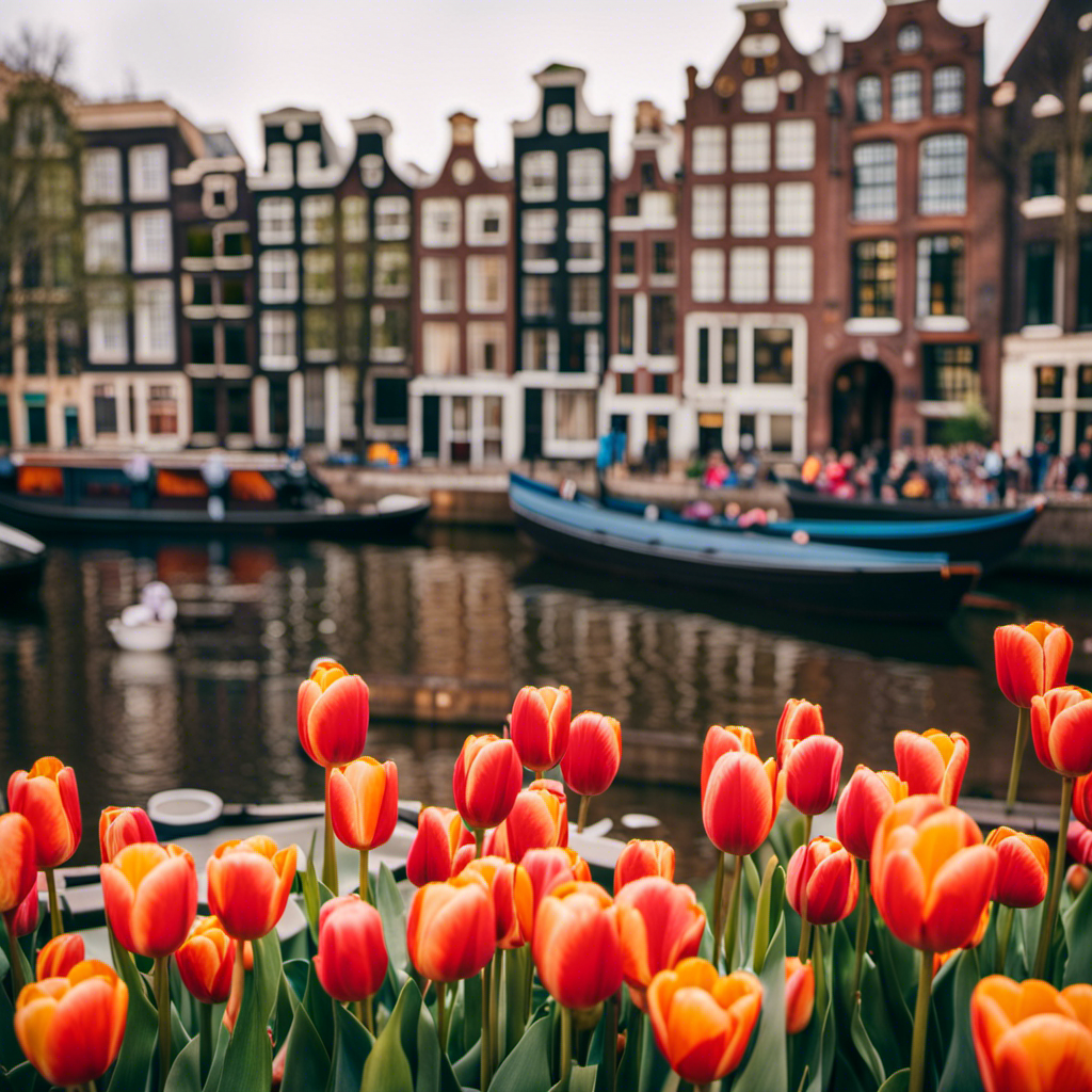 An image capturing the essence of Amsterdam: vibrant tulips blooming along picturesque canals lined with historic buildings, while art enthusiasts wander through world-renowned museums and the aroma of delectable cuisine fills the air