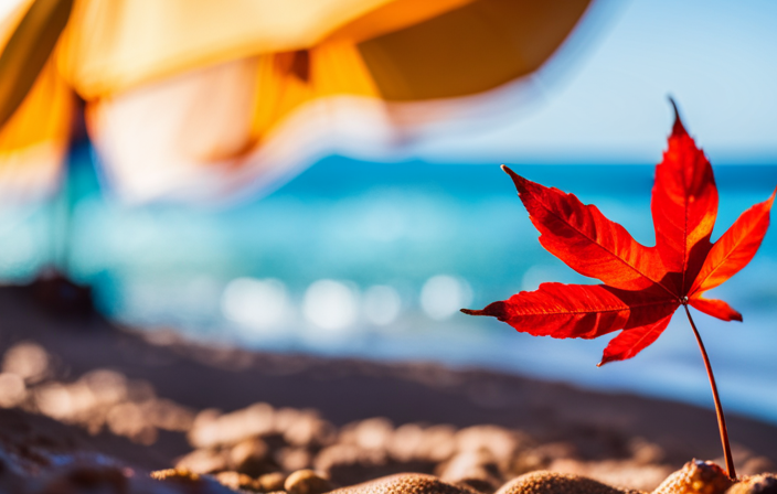 An image showcasing a picturesque Canadian maple leaf and a vibrant Barbadian beach, symbolizing the newfound travel opportunities between Canada and Barbados after the easing of COVID-19 entry rules