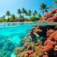 roatan s top snorkeling locations