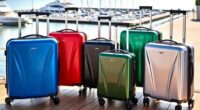affordable stylish cruise luggage