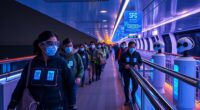 cruise safety protocol updates