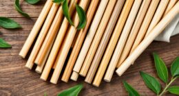 eco friendly stylish bamboo straws