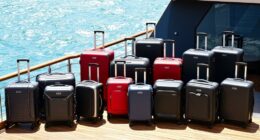 top cruise luggage options
