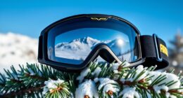top snow goggle picks