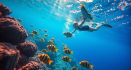 top waterproof snorkel cameras