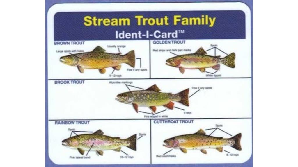 freshwater trout identification card