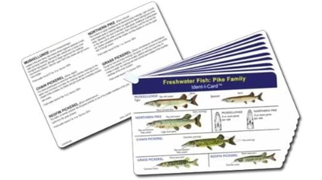nine freshwater fish cards