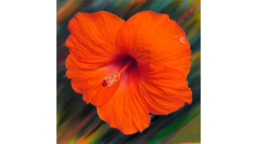 orange hibiscus flower seeds