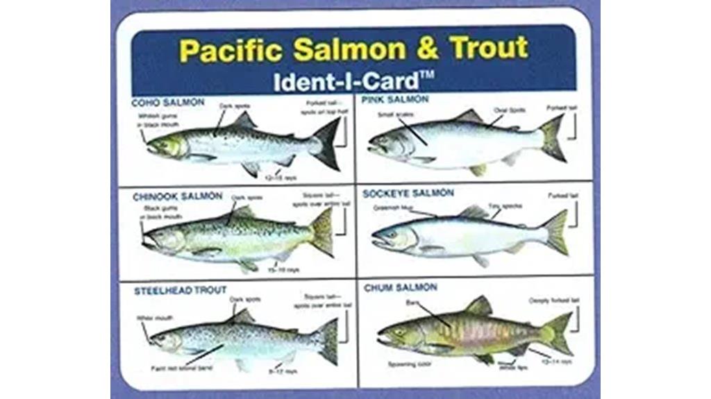 salmon and trout fish guide