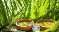 top organic aloe vera gels