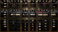 top premium wine cooler options