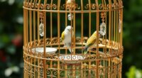 luxury bird cages selection