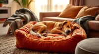 luxury warm pet beds