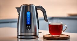 top smart kettles list