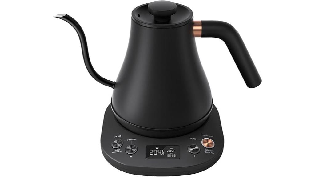 electric gooseneck kettle with temperature