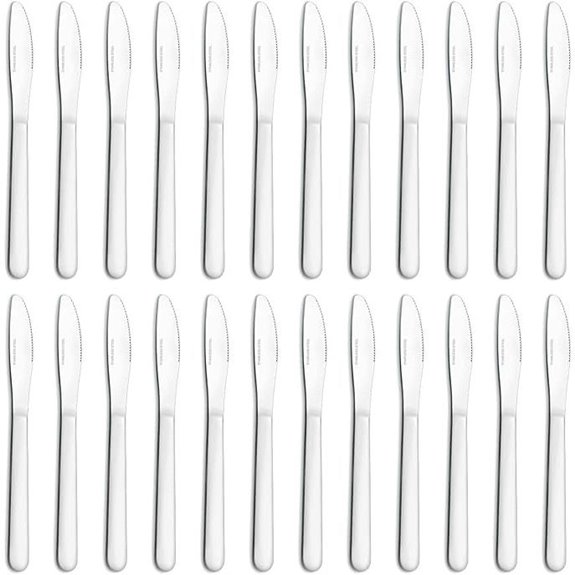 24 Pieces Dinner Knives Set Stainless Steel Silverware
