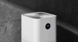 focus on indoor humidity