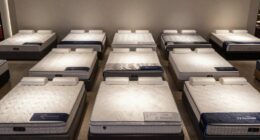 top luxury mattress picks