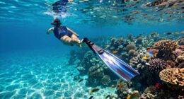 top snorkeling sea scooters