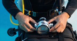 13 Best Best Scuba Regulators Premium in 2026