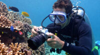 7 Best Underwater Housings for Mirrorless Cameras in 2026