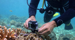 7 Best Waterproof Action Cameras for Snorkeling in 2026
