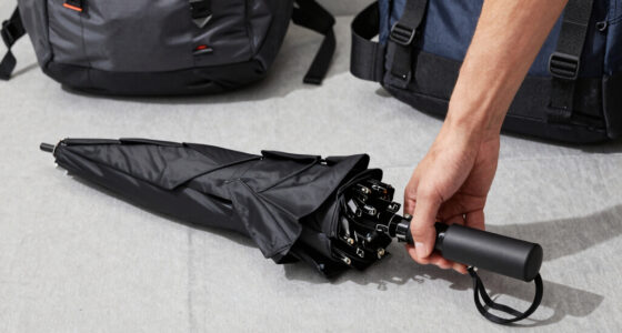 9 Best Best Travel Umbrellas Premium in 2026