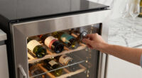 9 Best Wine Fridges for Home Premium in 2026