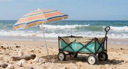 beach wagon for family
