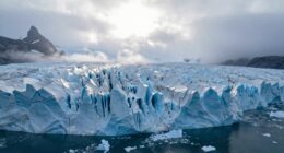 challenging arctic wilderness adventures