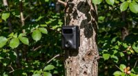 effective trail camera placement