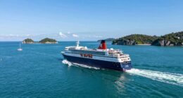 hidden cruise repositioning benefits