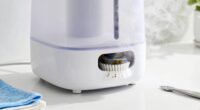 humidifier cleaning instructions