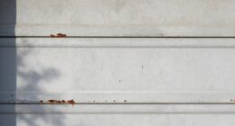 inspect garage door regularly