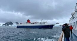 preference for cooler cruises