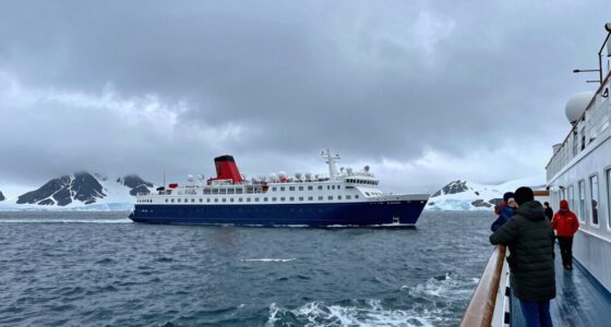 preference for cooler cruises