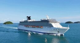 relax don t overthink cruising