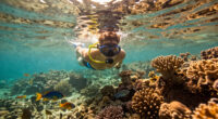 Great Barrier Reef, Queensland, Australia Surges In Global Coverage