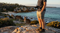 Kangaroo Island, Tasmania, Australia Surges In Global Coverage