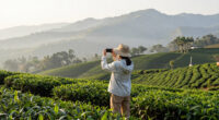 Mae Salong, Chiang Rai, Thailand Surges In Global Coverage