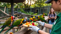 Zoologischer Garten Berlin
