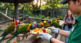Zoologischer Garten Berlin