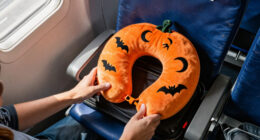 8 Best Halloween Travel Neck Pillows for Spooky Trips in 2027