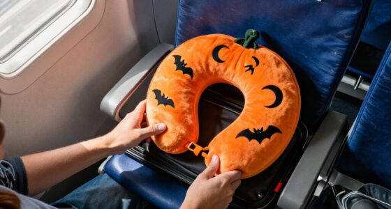 8 Best Halloween Travel Neck Pillows for Spooky Trips in 2027